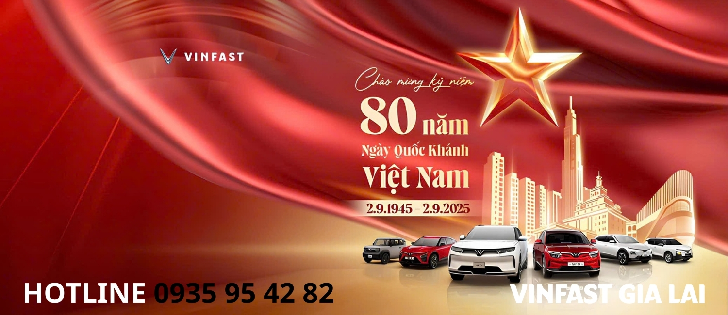 VF ẢNH WEB