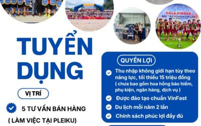 VinFast Gia Lai 28 VinFast Gia Lai Tuyển Dụng 2026